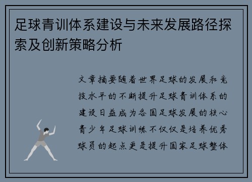 足球青训体系建设与未来发展路径探索及创新策略分析